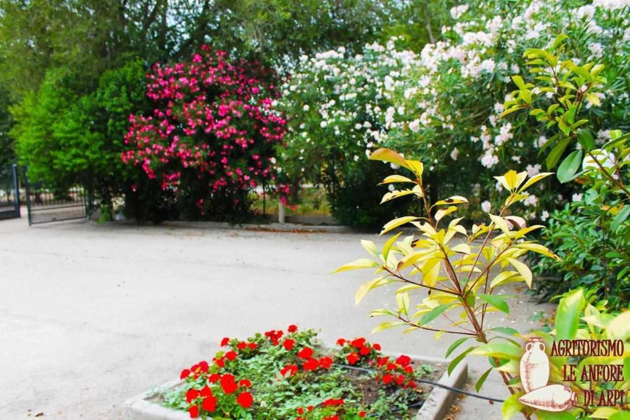 Le Anfore Di Arpi Φότζια Δωμάτιο φωτογραφία