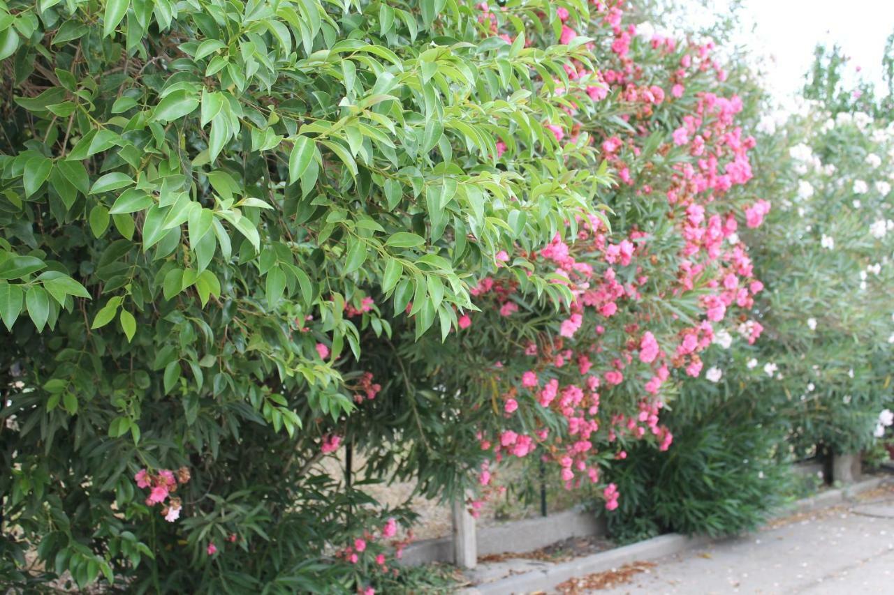 Le Anfore Di Arpi Φότζια Εξωτερικό φωτογραφία
